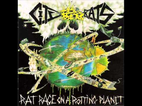 City Rats - Immigrant