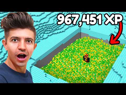 Minecraft, But Your XP = Wealth