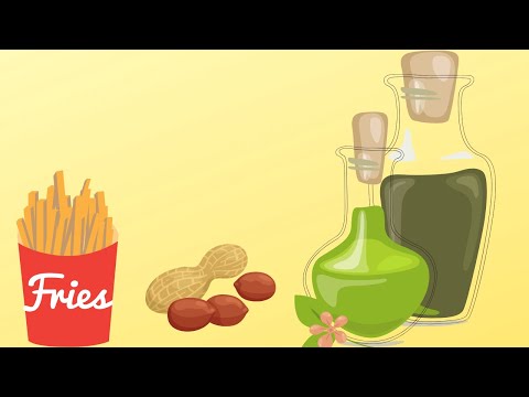 NUTRIÇÃO BÁSICA - DIGESTÃO E ABSORÇÃO DE LIPÍDEOS