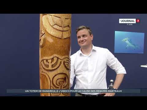 UNOC3 : le Taura de la Mokarran Society attire les foules