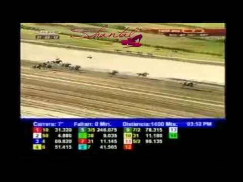 LA RINCONADA 7 CARRERA, DOMINGO 31 DE MAYO DEL 2015