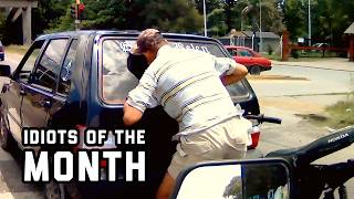 Idiots of the Month | Idiots in the Wild