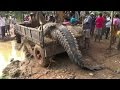 Mamba Mkubwa Aliyekwama Sri Lanka Aachiliwa Huru