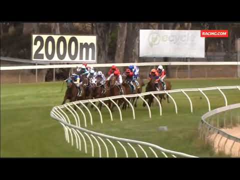 Smiley Chan 10th Winner "Vanderland"