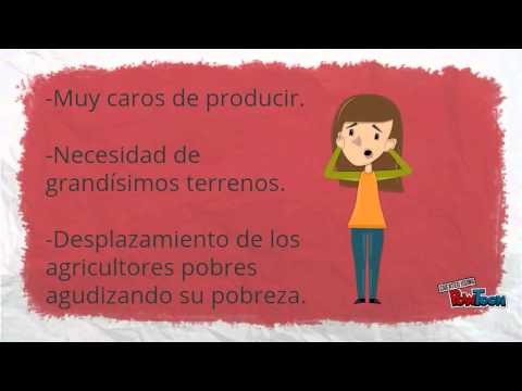 La sociedad mas avanzada