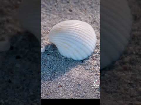 New carbon capture startup!