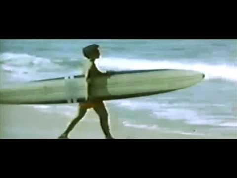 The STAGS feat. Anna Patrini "Black Bird"