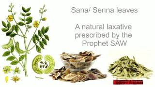 Removing consumed Sihr/ black-magic. Islamic method