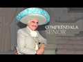 Vicente Fernández - Compréndanla