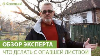 Смотреть онлайн Способы использования опавшей листы на садовом участке