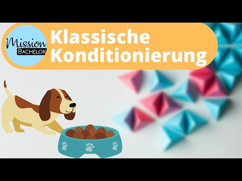 Klassische Konditionierung nach Pawlow | Einfach erklärt mit Beispielen