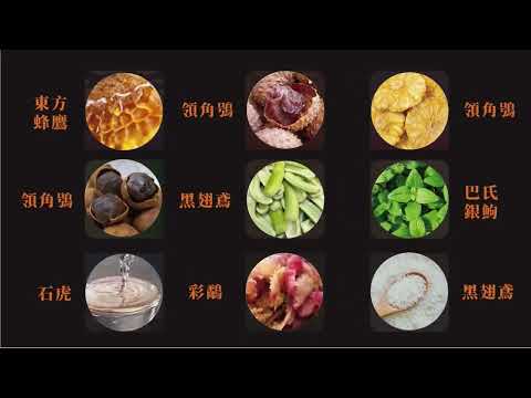 文化還能這樣吃？一場在百年古蹟裡的美食解碼實驗 ｜九宮IP實驗所 EP1