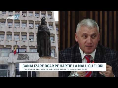 CANALIZARE DOAR PE HARTIE LA MALU CU FLORI