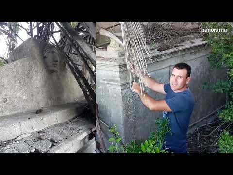 Cementerio de los Texeira Palmar gde 1280 x 720