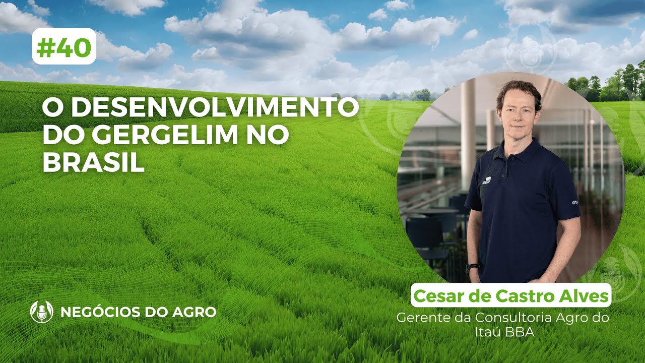O desenvolvimento do gergelim no Brasil | com Cesar de Castro Alves