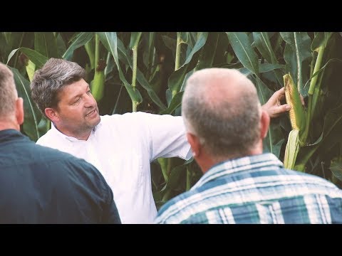 KWS Maisfeldtage 2019 Imagefilm