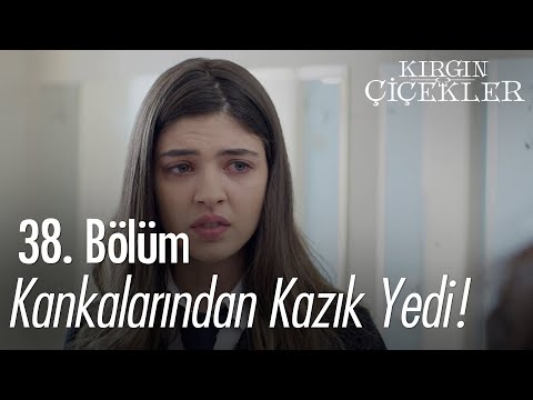 Defne'ye ağır darbe! - Kırgın Çiçekler 38. Bölüm