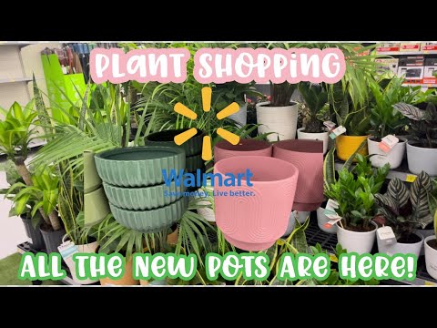 Plant Shopping at Walmart Big Box Store || All the New Pots Are Here