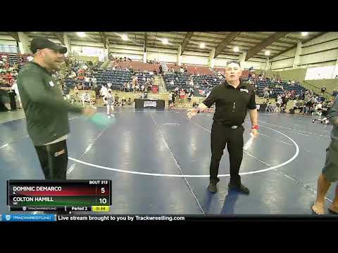 67 Lbs Cons. Round 2 - Dominic DeMarco, IL Vs Colton Hamill, WI 9669
