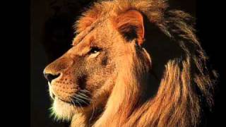 Jesucristo Resucitando A Los Muertos Atraves Del Profeta William Marrion Branham