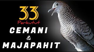 Download lagu 33 Perkutut Cemani Majapahit Gacor, Lengkap Suara dan iramanya mp3