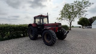 Tracteur à roues Case IH 1255XL à vendre - Image 4 | Agroline CA Tracteur à roues Case IH 1255XL | Image 4 - Agroline