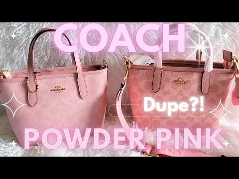 Coach Tiny Purse
