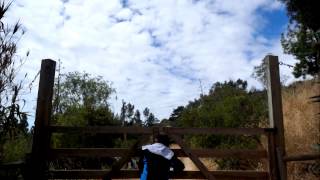 Lightworks - Atlas Sound