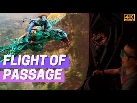 Avatar Flight of Passage at Animal Kingdom (4K POV)