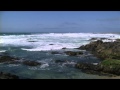 The Flashbulb - Hello, I'm Benn 