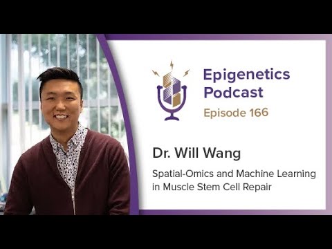 Epigenetics Podcast #166 - Spatial-Omics and Machine Learning in Muscle Stem Cell Repair w Will Wang