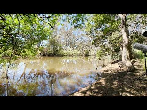The Cascades - Coliban River Metcalfe, VIC