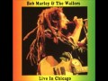 Bob Marley and the Wailers Live in Chicago 1975 ...