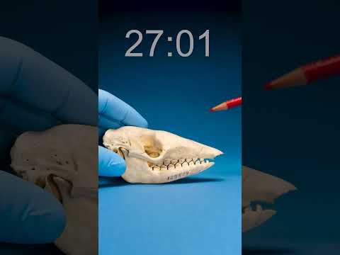 Did you get it right? What time?