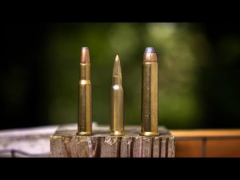 Best Lever-Action Cartridges of all Time