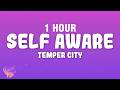 [1 HOUR] Temper City - Self Aware (Lyrics)