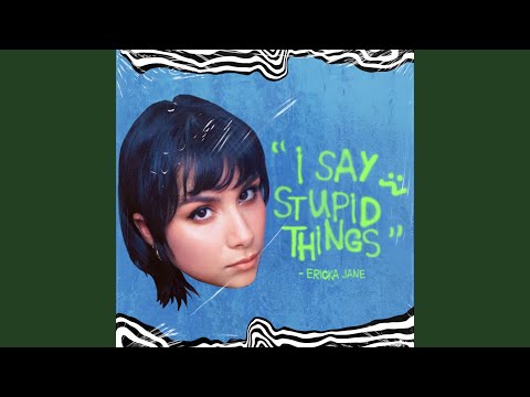 I Say Stupid Things