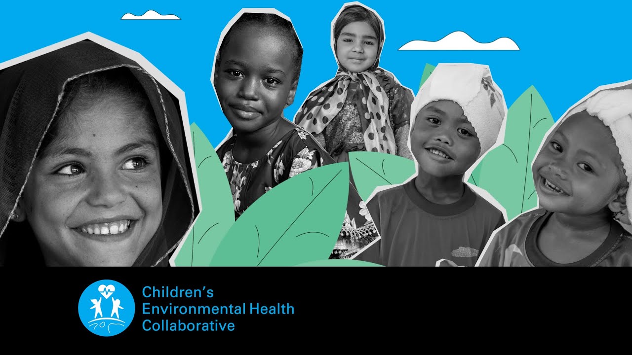 What is the Children's Environmental Health Collaborative?
