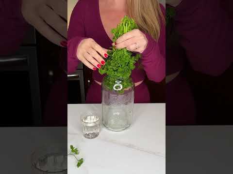 Keep your herbs fresh longer 🌱 #parsley #hack #kitchenhacks