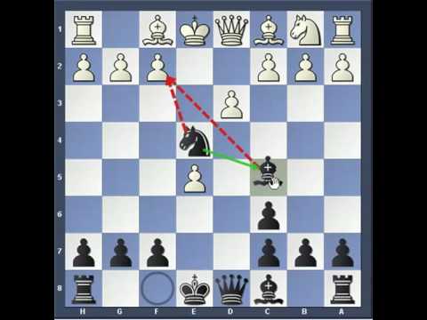 Trappole in Apertura 15 - La difesa Russa - trappola col nero