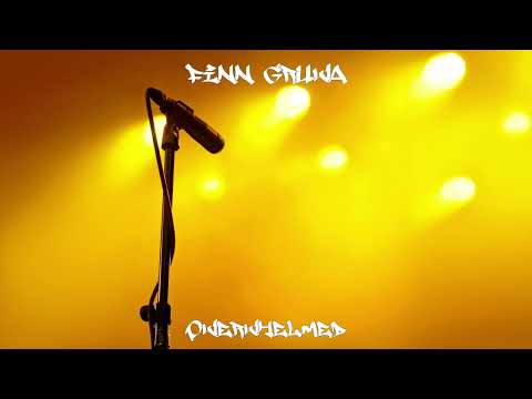 Finn Gruva - Overwhelmed (Audio)