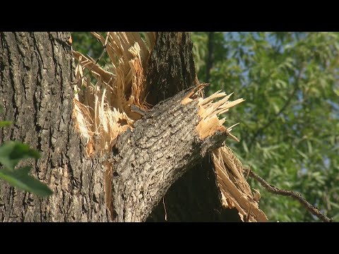 NWS Confirms 2 Tornadoes In South Metro Area