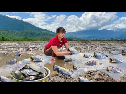 Harvesting Mussels from the Mud to Sell at the Local Market | Phương New Bushcraft