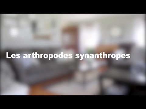 Library Planning Video