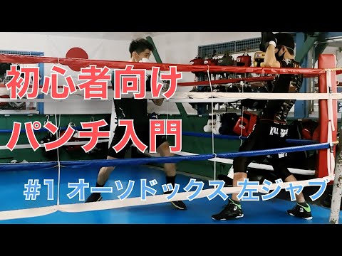 【東拳ちゃんねる】初心者のためのパンチ入門！【左ジャブ】