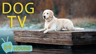DOG TV: Video Entertain Prevent Boredom & Best Anti-Anxiety for Dogs When Home Alone - Music for Dog