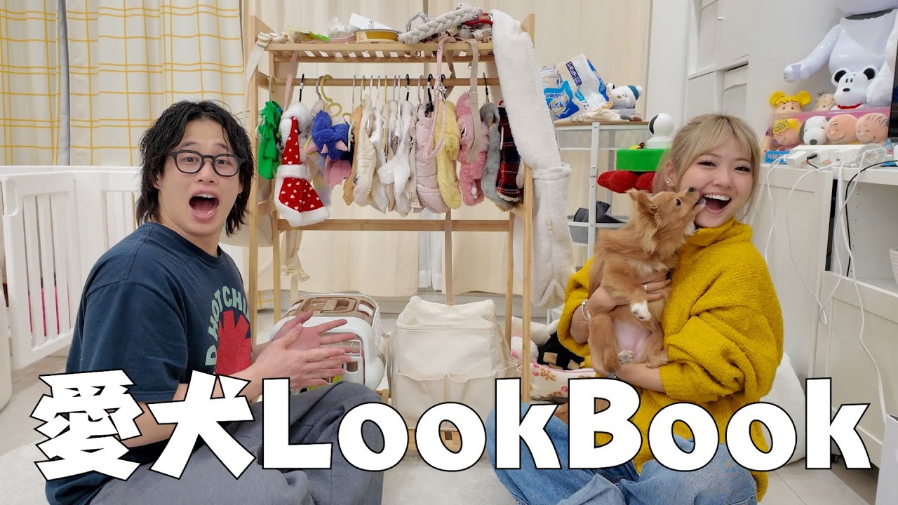 【大苦戦】反抗期愛犬のLookBook大はしゃぎすぎて動画にならんwww🐶👚