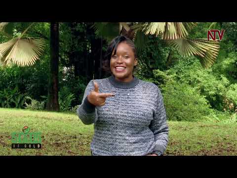 Uganda: Making money from growing food in small urban spaces using hydroponic| Seeds Of Gold Uganda: Making money from growing food in small urban spaces using hydroponic| Seeds Of Gold