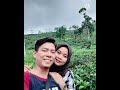 TAK MUNGKIN KUMILIKI PUNKY DEAZ ANDROMEDA