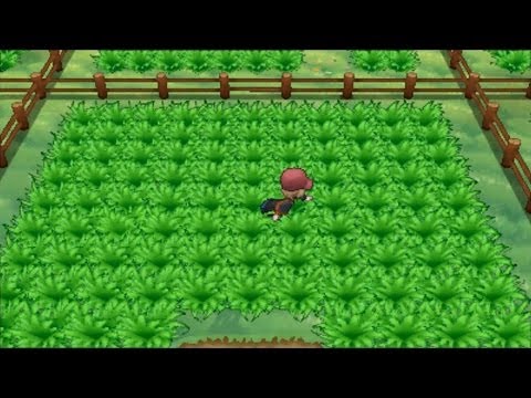 Let's Play Pokemon X & Y (Walkthrough) Part 84 - Kontaktsafari